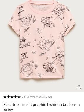 J. Crew Road Trip slim fit Graphic t-shirt in broken-in jersey